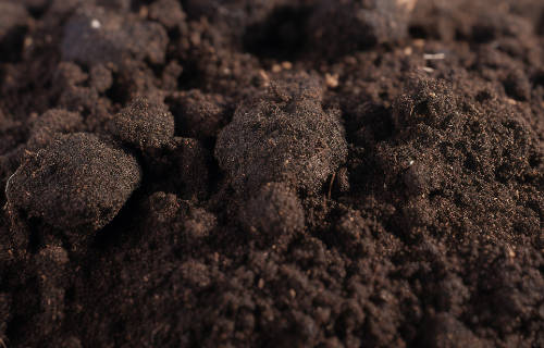 土壤有效磷检测