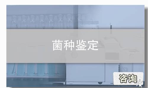 菌种鉴定